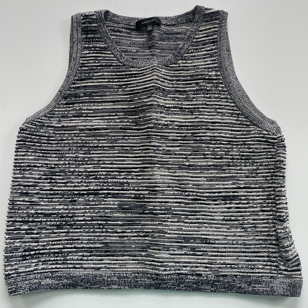 Babaton blue and white tank from Aritzia size S